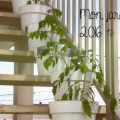 Jardin 2016