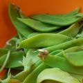 Mange-tout et très gourmand !