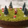 Gâteau chocolat-pistache ou La forêt du Père[...]
