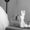 Paniers de Pâques lapin