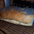 Poppy-seeded bloomer