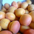Congélation des abricots. (méthode au sirop).