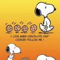 Snoopy croque les Cookies