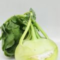 Kohlrabi
