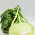 Kohlrabi