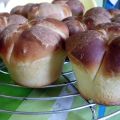 Petits Pains Qui Ont 