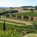 A la découverte des vignobles du Sud-Ouest (+[...]