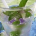 Eau minérale trafiquée à la menthe poivrée